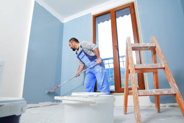 Professional Mold Removal in Cutchogue, NY