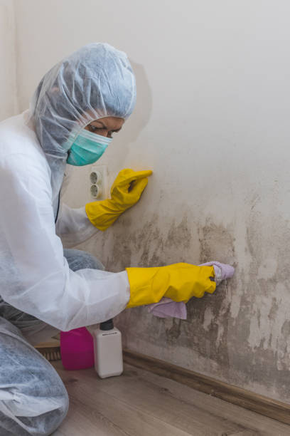 Best Airborne Mold Testing  in Cutchogue, NY
