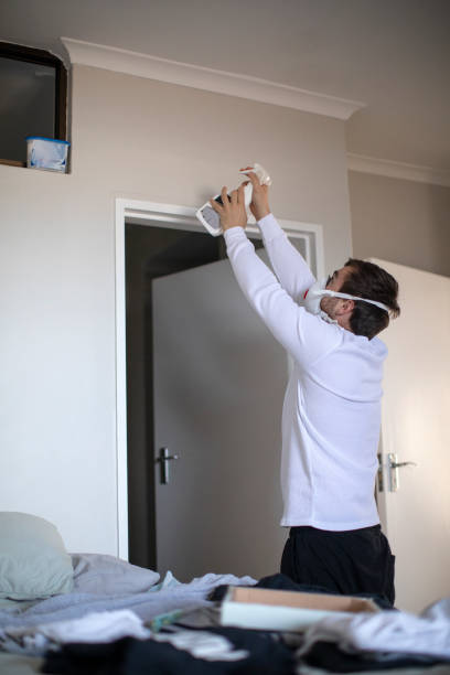 Best Water Damage & Mold Remediation  in Cutchogue, NY