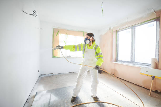 Best Mold Damage Restoration  in Cutchogue, NY