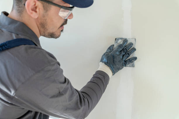 Best Environmental Consulting for Mold Prevention  in Cutchogue, NY