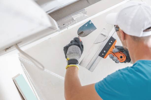 Best Forensic Mold Investigation  in Cutchogue, NY